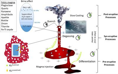 Lithium in felsic magmas: a volcanological perspective